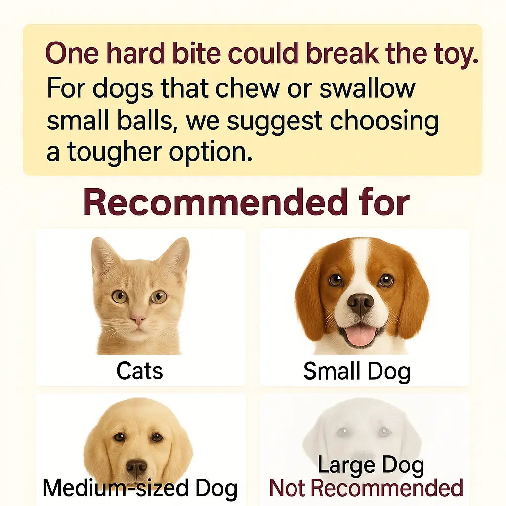 BAFENESN® Smart Pet Companion