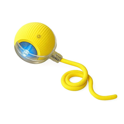 BAFENESN® Smart Pet Companion