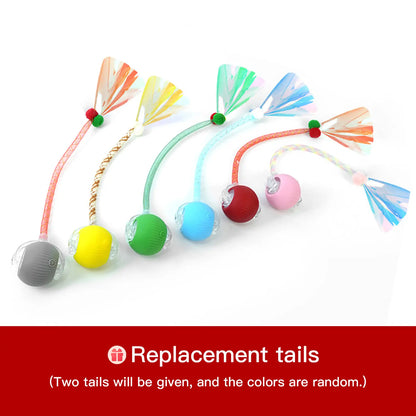 BAFENESN® Smart Pet Companion