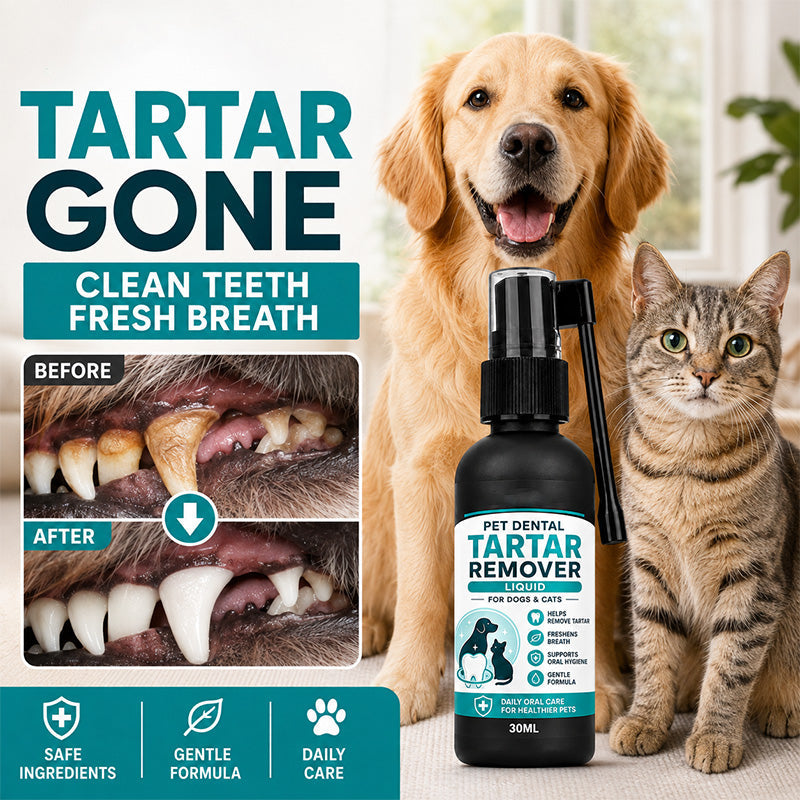 🐾Enjoy 50% off now! Buy one get one free gentle pet dental cleaning spray